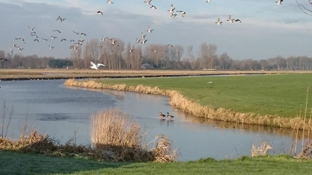 Aan De Schulpvaart Limmen Exterior photo